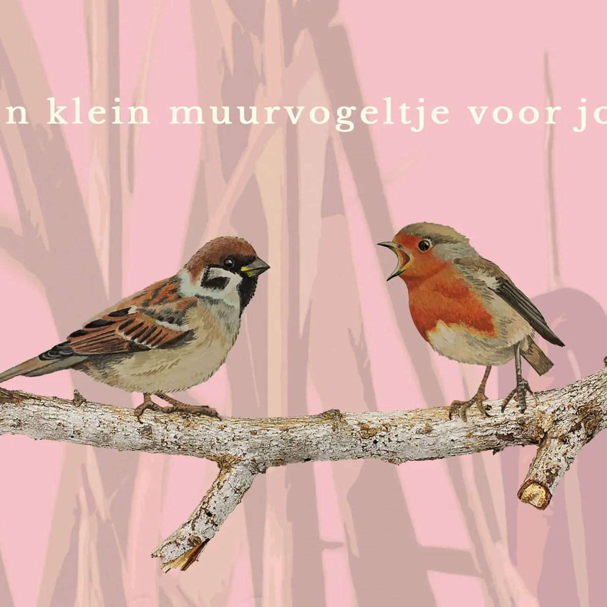 Giftkaart | Een vogeltje voor op de muur