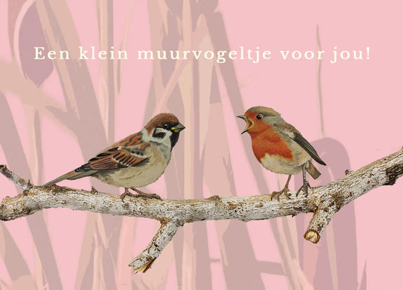 voorzijde giftkaart met twee muurvogeltjes
